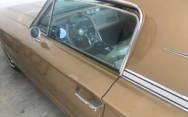 Unknown-Thunderbird-1966-Brown-8