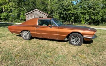 Unknown-Thunderbird-1966-Custom-14