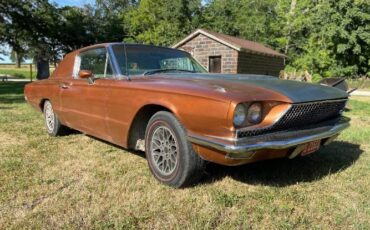 Unknown-Thunderbird-1966-Custom-15