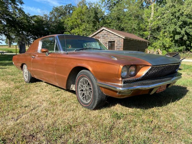 Unknown-Thunderbird-1966-Custom-15
