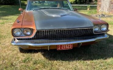 Unknown-Thunderbird-1966-Custom-16