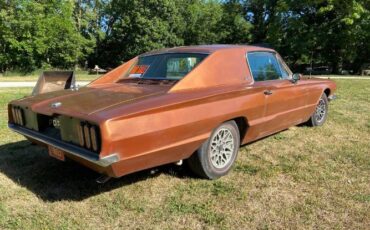 Unknown-Thunderbird-1966-Custom-17