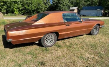 Unknown-Thunderbird-1966-Custom-3