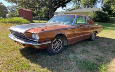 Unknown-Thunderbird-1966-Custom