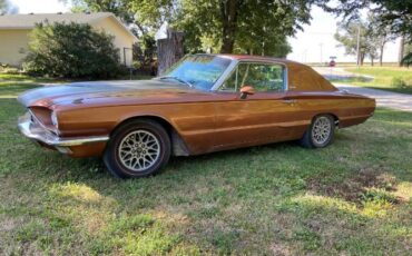 Unknown-Thunderbird-1966-Custom-5
