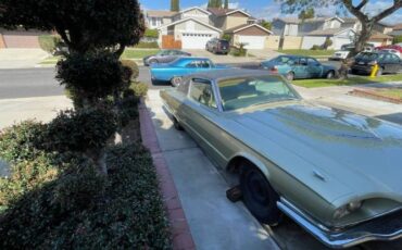 Unknown-Thunderbird-1966-Gold-Metallic-Gold-Leather-11