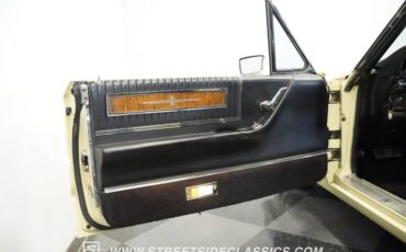 Unknown-Thunderbird-1966-Ivy-Yellow-Black-23