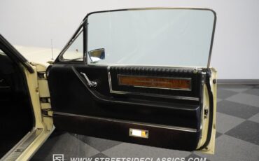 Unknown-Thunderbird-1966-Ivy-Yellow-Black-26