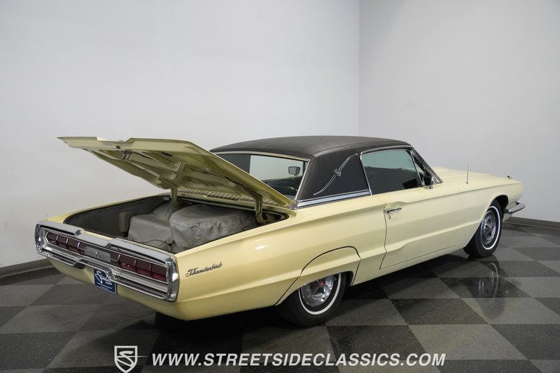 Unknown-Thunderbird-1966-Ivy-Yellow-Black-35