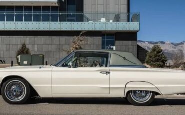 Unknown-Thunderbird-1966-Windsor-whiteLight-20
