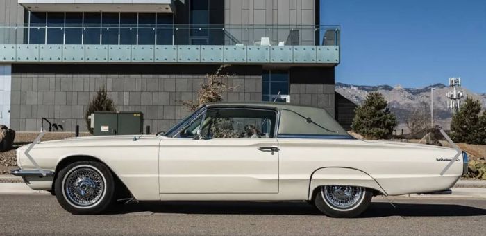 Unknown-Thunderbird-1966-Windsor-whiteLight-20