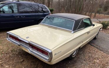 Unknown-Thunderbird-1966-Yellow-10