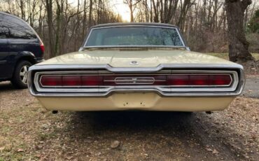 Unknown-Thunderbird-1966-Yellow-11