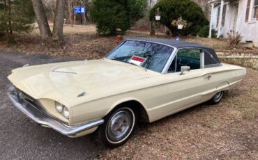 Unknown-Thunderbird-1966-Yellow-3