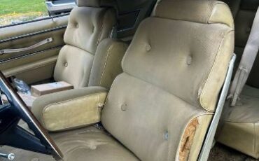 Unknown-Thunderbird-1973-Brown-2
