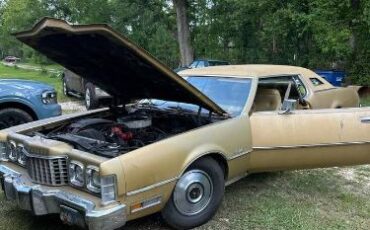 Unknown-Thunderbird-1973-Brown