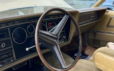 Unknown-Thunderbird-1973-Brown-5