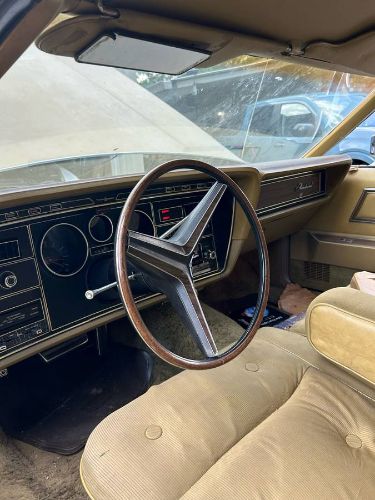 Unknown-Thunderbird-1973-Brown-5