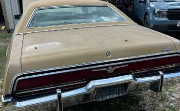 Unknown-Thunderbird-1973-Brown-6