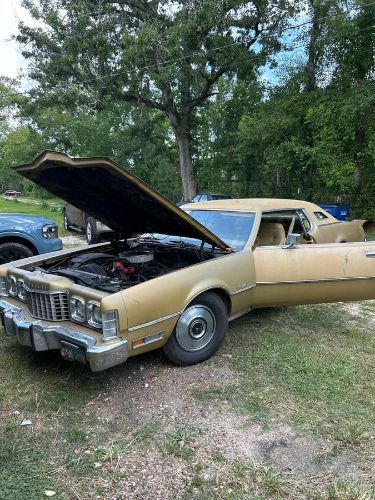 Unknown-Thunderbird-1973-Brown