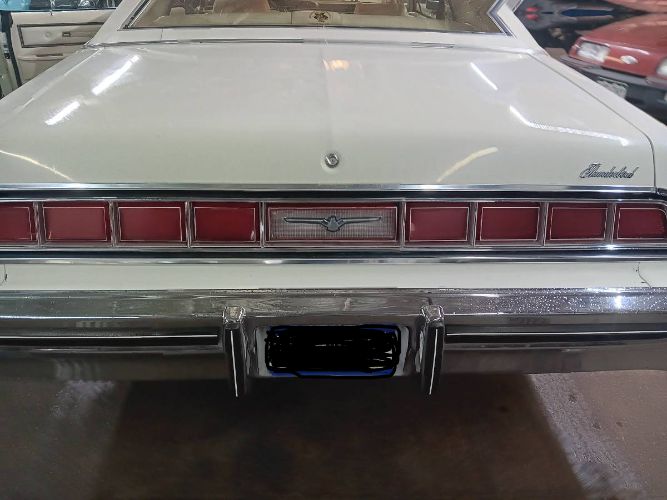 Unknown-Thunderbird-1975-White-17