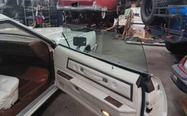 Unknown-Thunderbird-1975-White-22