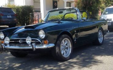 Unknown-Tiger-1966-Green