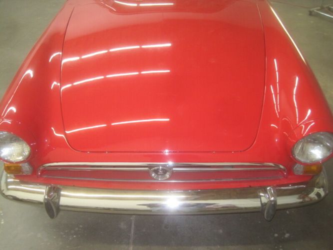 Unknown-Tiger-1966-Red-Black-2