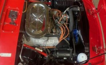 Unknown-Tiger-1966-Red-Black-9
