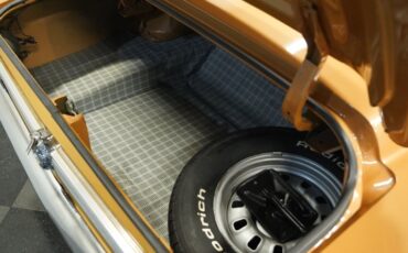 Unknown-Torino-1969-Gold-Glow-Black-10