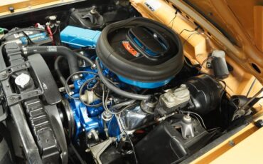 Unknown-Torino-1969-Gold-Glow-Black-32