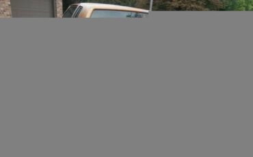 Unknown-Torino-1969-Gold-Glow-Black-6