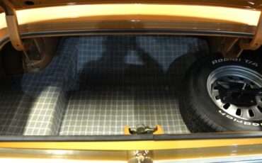Unknown-Torino-1969-Gold-Glow-Black-9