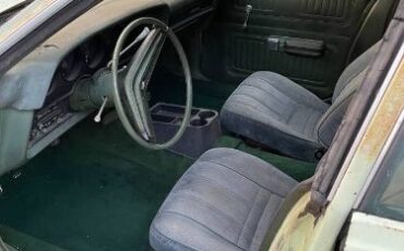 Unknown-Torino-1973-Green-14