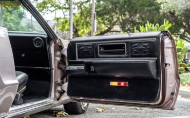 Unknown-Toronado-1969-Electric-Candy-Silve-Black-35