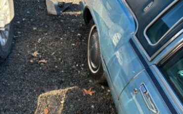 Unknown-Toronado-1975-Blue-21
