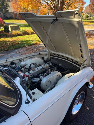 Unknown-Tr6-1973-White-8