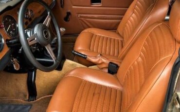 Unknown-Tr6-1974-British-Leyland-brow