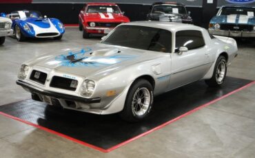 Unknown-Trans-am-1975-Silver-Black-10