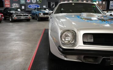 Unknown-Trans-am-1975-Silver-Black-26