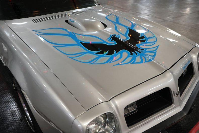 Unknown-Trans-am-1975-Silver-Black-28