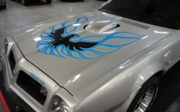 Unknown-Trans-am-1975-Silver-Black-29