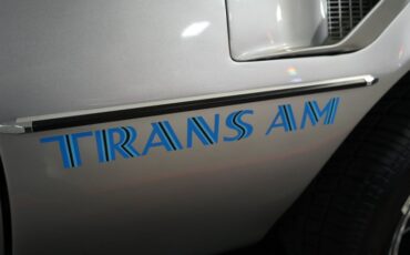 Unknown-Trans-am-1975-Silver-Black-44