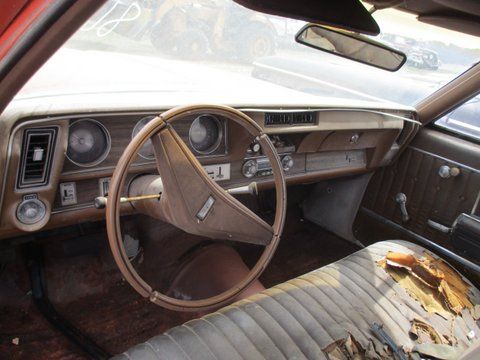 Unknown-Vista-cruiser-1970-4