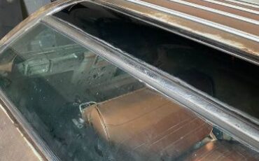 Unknown-Vista-cruiser-1970-Tan-Brown