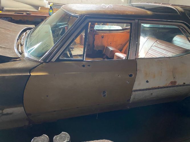 Unknown-Vista-cruiser-1970-Tan-Brown-6