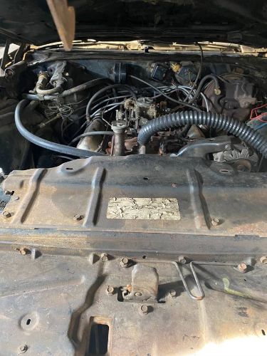 Unknown-Vista-cruiser-1970-Tan-Brown-8