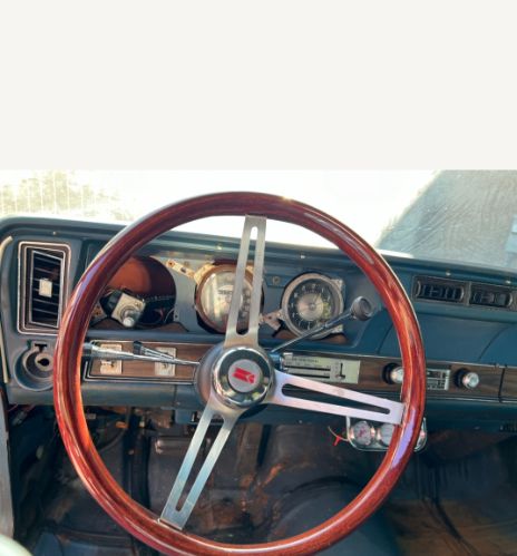 Unknown-Vista-cruiser-1972-22