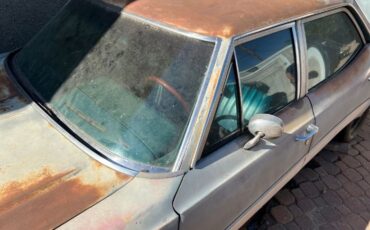 Unknown-Vista-cruiser-1972-3