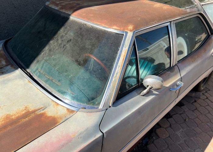 Unknown-Vista-cruiser-1972-3